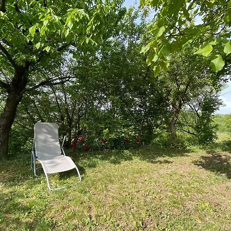 Lejlighed Preshaz A Hegyteton Pécsely